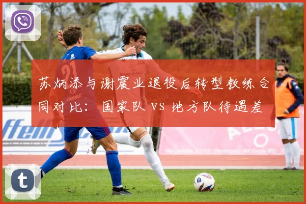 苏炳添与谢震业退役后转型教练合同对比：国家队 vs 地方队待遇差异